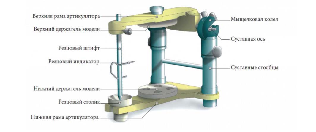 Строение артикуляторов