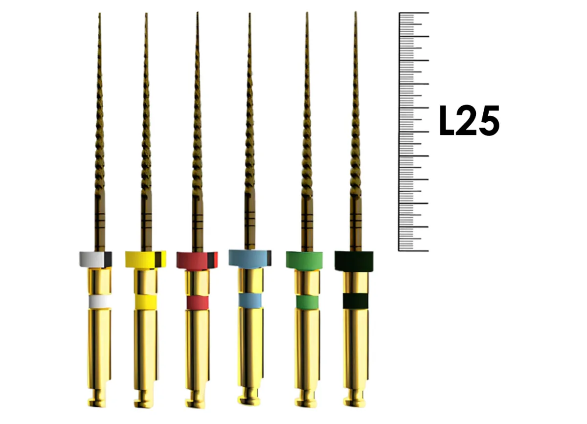 E-Flex Gold 25мм, .06, N25 (6 шт), Eighteeth - машинные файлы, 10 Packs 012