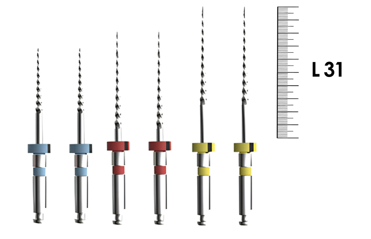 E-Flex RT-011, 31мм, Ассорти (6 шт), Eighteeth - машинные файлы (20.07 / 25.08 / 30.09 по 2 шт)