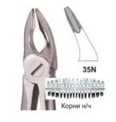 Корни в/ч №35N