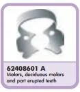 Кламп A, Dentsply Sirona - для коффердама