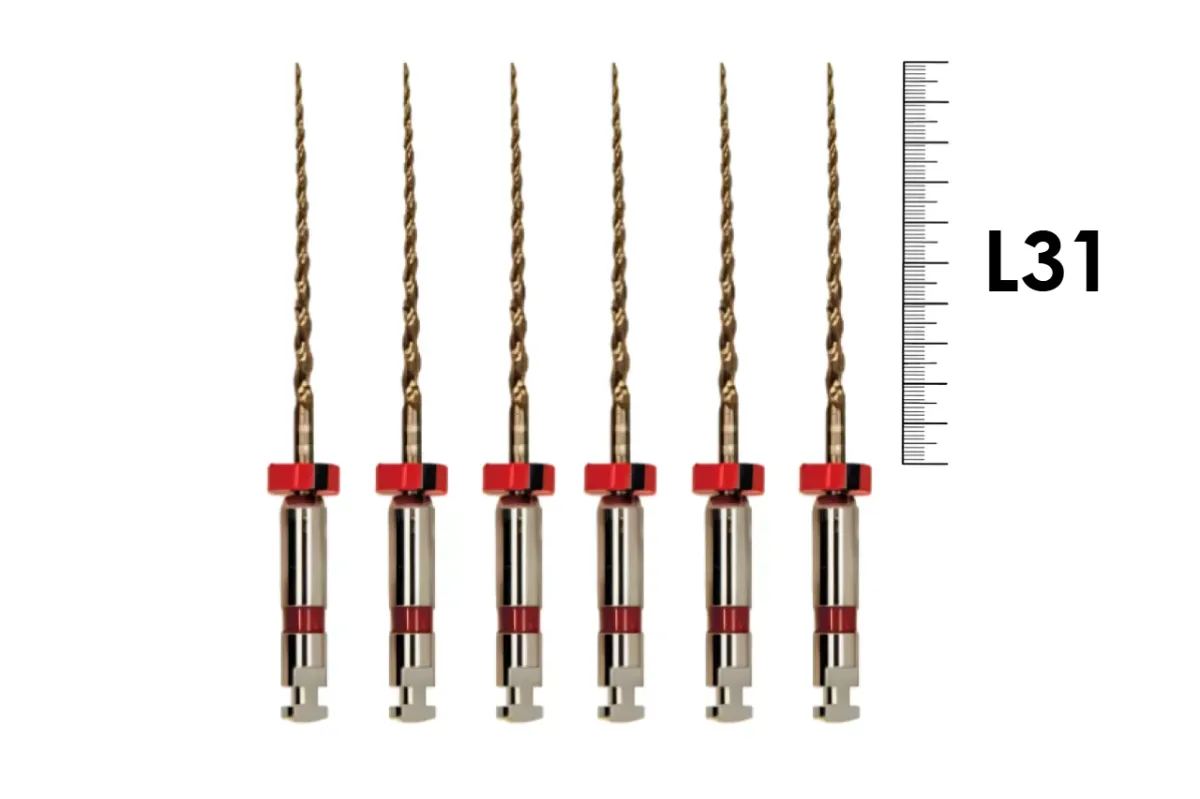 S-Flexi 31мм 04/25 (6 шт), Геософт - машинные файлы