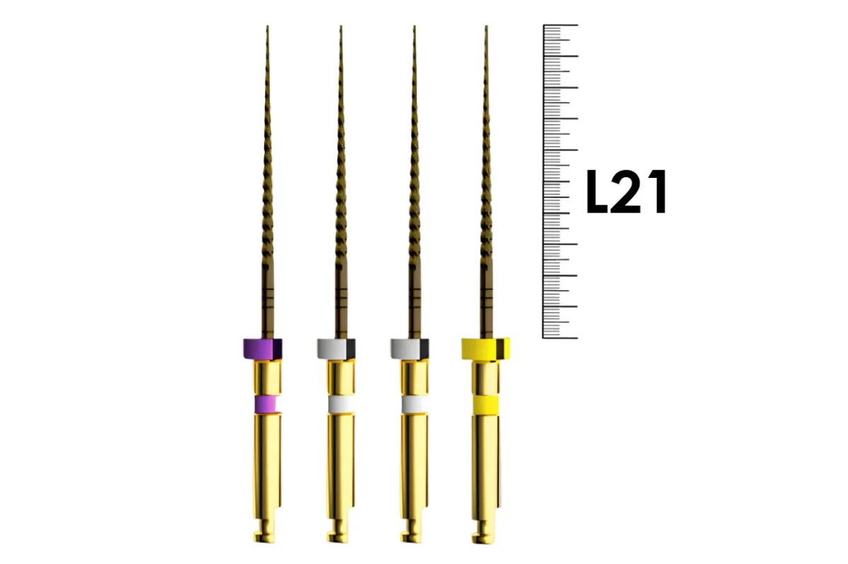 E-Flex Gold Path 21мм, Ассорти N13.02/16.02/19.02/15.03 (4 шт), Eighteeth - машинные файлы, 159