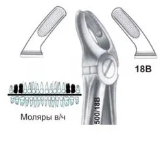 Щипцы №18B, Surgicon - для удаления моляров верхней челюсти