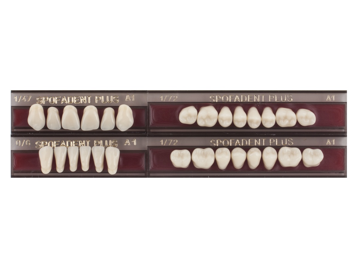 Spofadent Plus (А1) 1/47-0/6-1/72 (E002226)