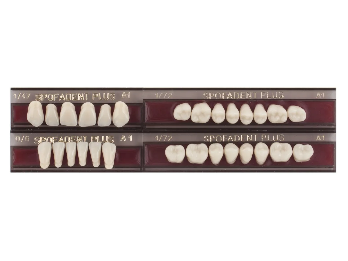 Spofadent Plus (А1) 1/47-0/6-1/72 (E002226)