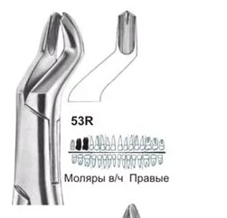 Щипцы №53R, Surgicon - для удаления моляров верхней челюсти правые