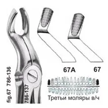 Щипцы №67, Surgicon - для удаления третьих моляров верхней челюсти