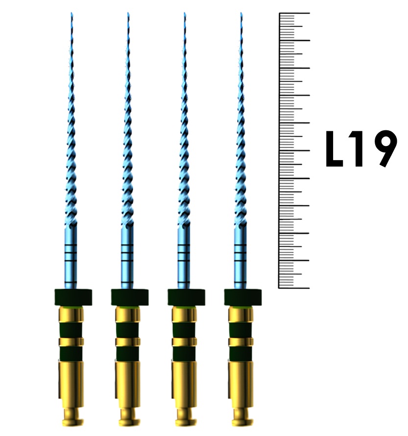 E-Flex Blue 19мм, .08, N17 (4 шт), Eighteeth - машинные файлы, 10 Packs 041, устьевик