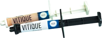 Vitique, цвет A1 (шприц 3,9 г + 10 насадок), DMG - паста примерочная