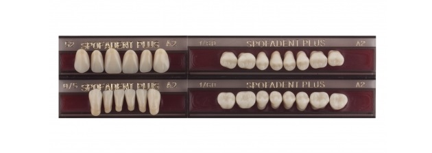 Spofadent Plus (А2) 52-0/5-1/60