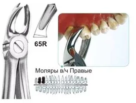 Щипцы №65R, Surgicon - для удаления моляров верхней челюсти правые