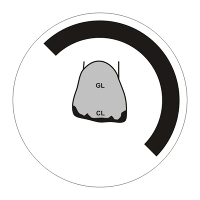 Транспарент CLEAR, 20гр. (Yeti)