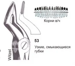 Щипцы для удаления корней верхней челюсти, узкие смыкающиеся губки, №53, Surgicon