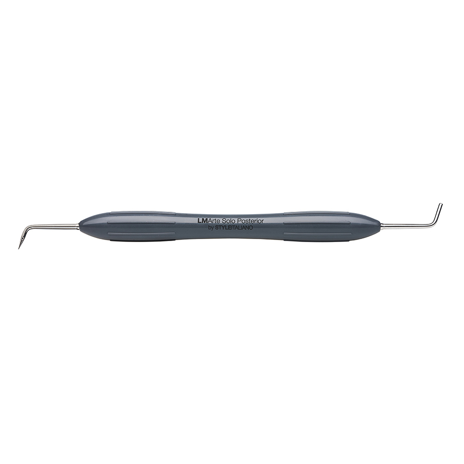 LM-Arte Solo Posterior (LM 434-438 XSI)