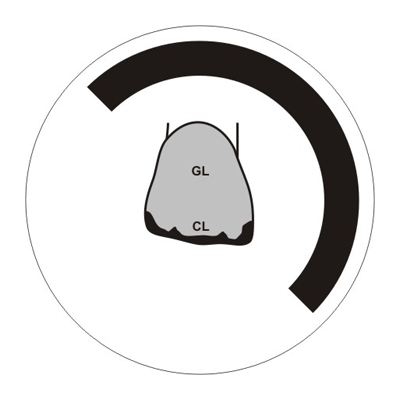 Глазурь, порошок 10гр. (Yeti)