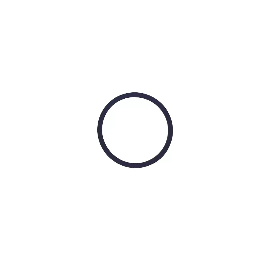 Кольцо уплотнительное для крышки контейнера для NSK Prophy-Mate NEO