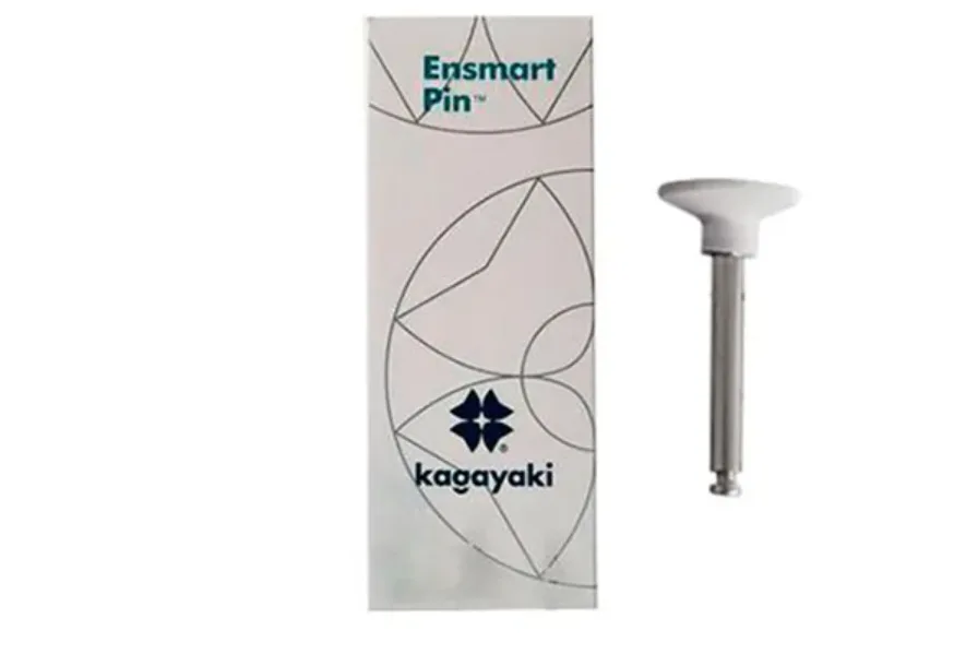 Полиры силиконовые Ensmart Pin Диск (бел. груб.), 10шт. на метал.ножке, (ENPS 125-2), Kagayaki