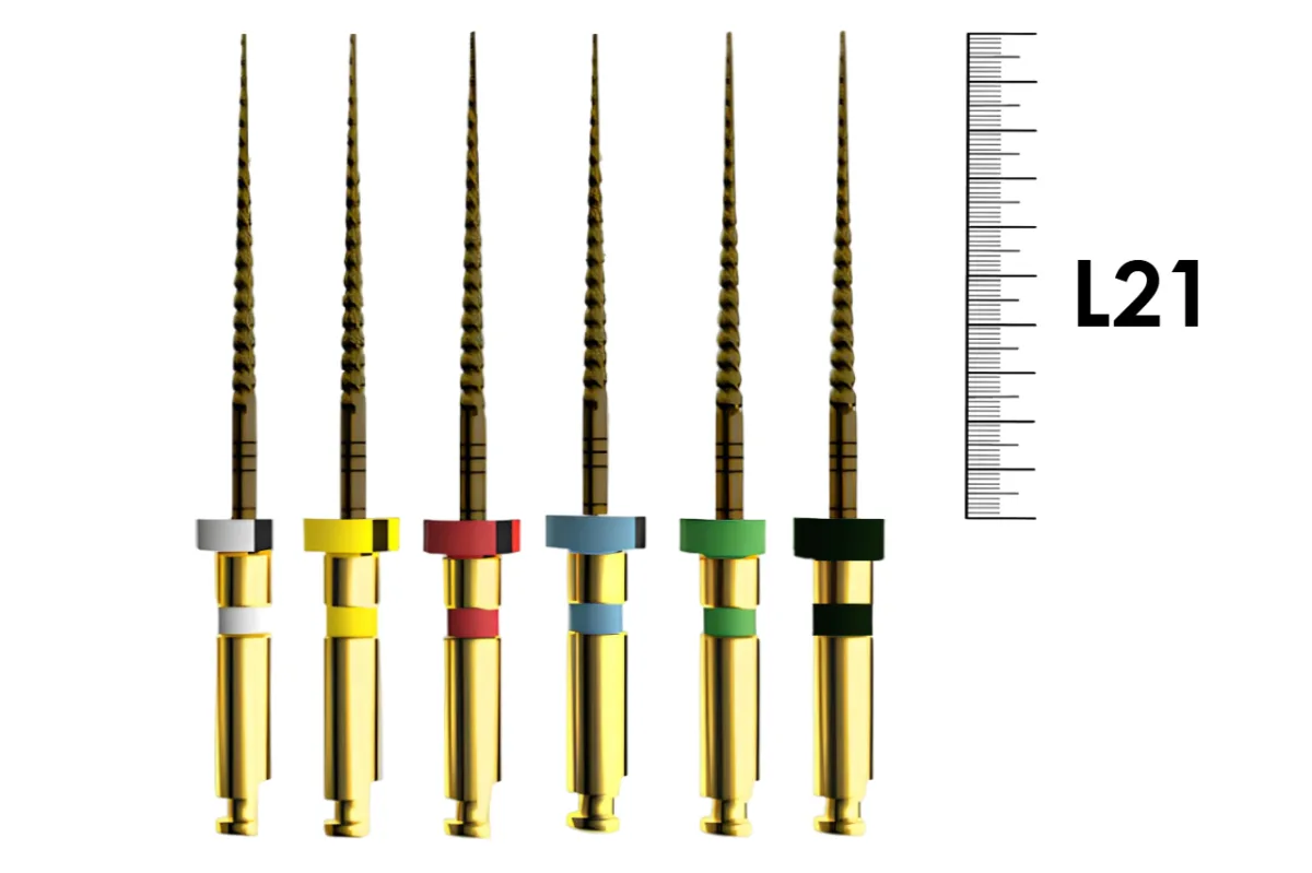 E-Flex Gold 21мм, .06, Ассорти (6 шт), Eighteeth - машинные файлы, 10 Packs 161, устьевик + 6й конус