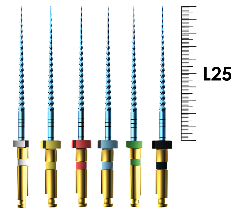E-Flex Blue 25мм, .02, N45-50-55-60-70-80 (6 шт), Eighteeth - машинные файлы, 10 Packs 305, РУ