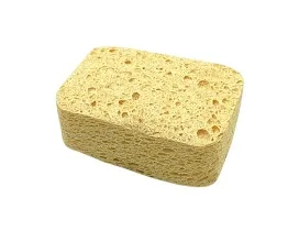 Brush Pool Replacement Sponge