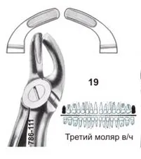 Щипцы №19, Surgicon - для удаления третьего моляра верхней челюсти