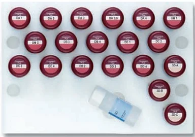 Duceram Plus Дентин в отдельных упаковках Dentin Gum 5, 20 г