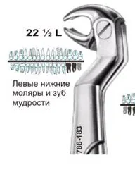 Щипцы №22 1/2 L, Surgicon - для удаления моляров и зуба мудрости нижней челюсти левые