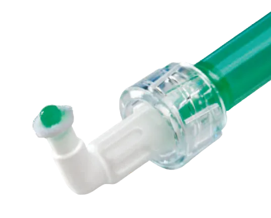 image 178-PhotoRoom 1.png image 178-PhotoRoom 1.png