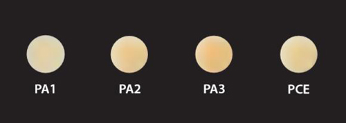 Эстелайт Постериор