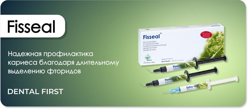 Fisseal