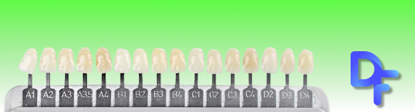 Dental color palette