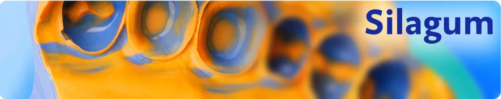 Component 11.png
