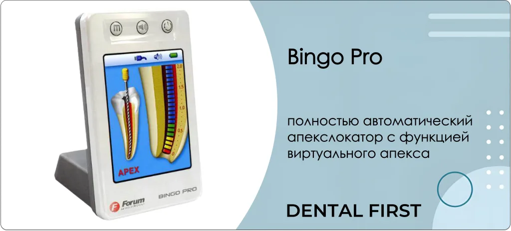 Bingo pro Bingo pro