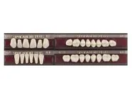 Spofadent Plus (А1) 1/47-0/6-1/72 (E002226)