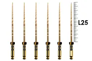 ProTaper Gold 25мм F4 (6 шт), Dentsply Sirona - машинные файлы, стерильные, черные