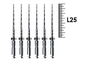 NiTi BioRaCe C, конусность .02, №40 (6 шт.), FKG - файлы машинные