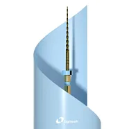E-Flex S файл 31мм S2 (6 шт/уп)