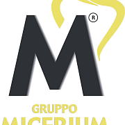 Клинья деревянные Micerium