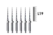 Bio RaCe BR0 19мм .08 №25, FKG - машинные файлы, никель-титан