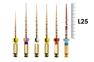 ProTaper Gold Assortment 25мм SX-F3 (6 шт), Dentsply Sirona - машинные файлы, стерильные