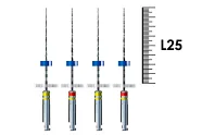 iRaCe Plus 25мм №20-25 (4 шт), FKG - машинные файлы, ассорти R1a-R1b, стерильный блистер