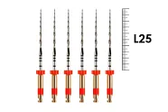 Reciproc 25мм №R25 (6 шт), VDW - машинные файлы