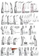 Корни н/ч №46LX