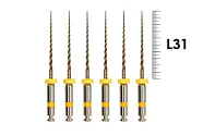 S-Flexi 31мм 04/20 (6 шт), Геософт - машинные файлы