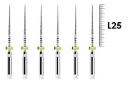 ProFile RA 25мм .04 №45 (6 шт), Dentsply Sirona - машинные файлы, каналорасширители, никель-титан