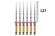 ProTaper Universal 21мм S1 (6 шт), Dentsply Sirona - машинные файлы, фиолетовые