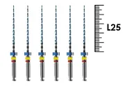 Race EVO 25мм .02 №20 (6 шт), FKG - машинные файлы, никель-титан