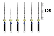 ProFile RA 25мм .04 №30 (6 шт), Dentsply Sirona - машинные файлы, каналорасширители, никель-титан