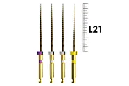 E-Flex Gold Path 21мм, Ассорти N13.02/16.02/19.02/15.03 (4 шт), Eighteeth - машинные файлы, 159